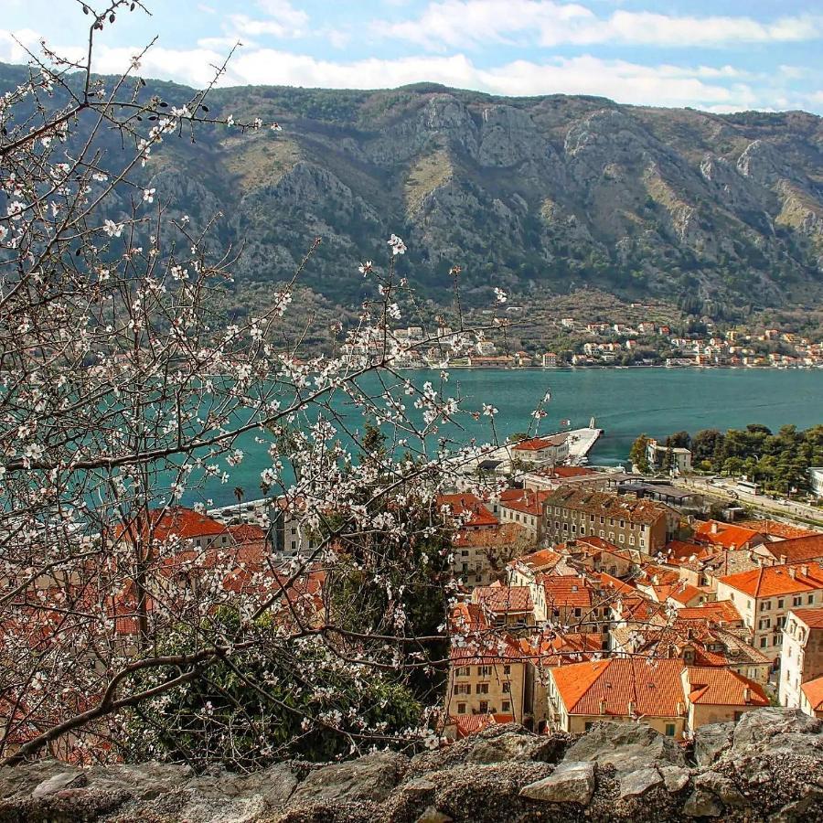 Old Town Boskovic Apartment Kotor Eksteriør bilde